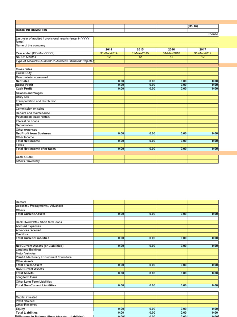 Financial Model Input Template | PDF | Fixed Asset | Equity (Finance)