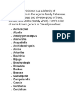 List of Genera in Caesalpinioideae