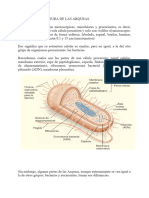 Estructura de Las Arqueas