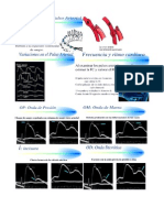 Pulso Arterial