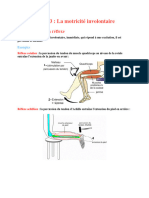 3-La Motricité Involontaire