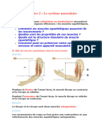 Le Système Musculaire