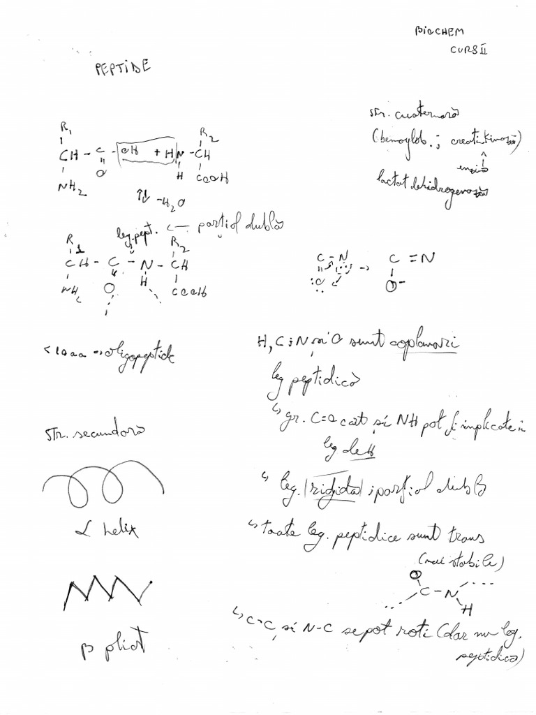 Curs 2 | PDF