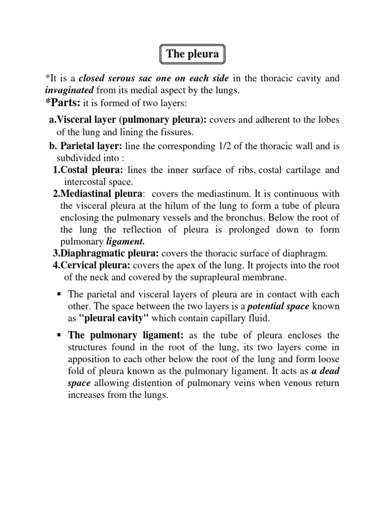 Anatomy Pleura Pdf Lung Thorax Human Anatomy