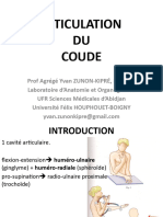 Articulation Du Coude