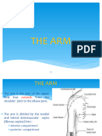 Arm & Cubita Fossa 2024 - Students