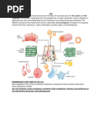 SER vs RER: Functions and Differences | PDF | Endoplasmic Reticulum ...
