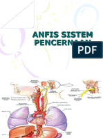 Anfis Sistem Cerna