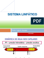 Bio II Sistema Linfatico