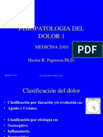 2010 Fisiopatologia Del Dolor 1 Med