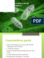 Protozoários e Doenças de Veiculação Hídrica