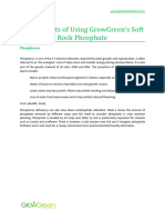 GG Soft Rock Phosphate Benefits