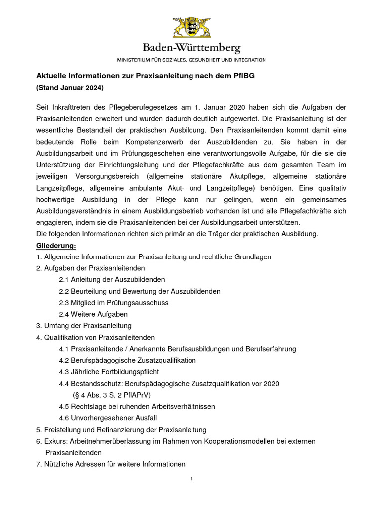 Informationsblatt Praxisanleitung PDF