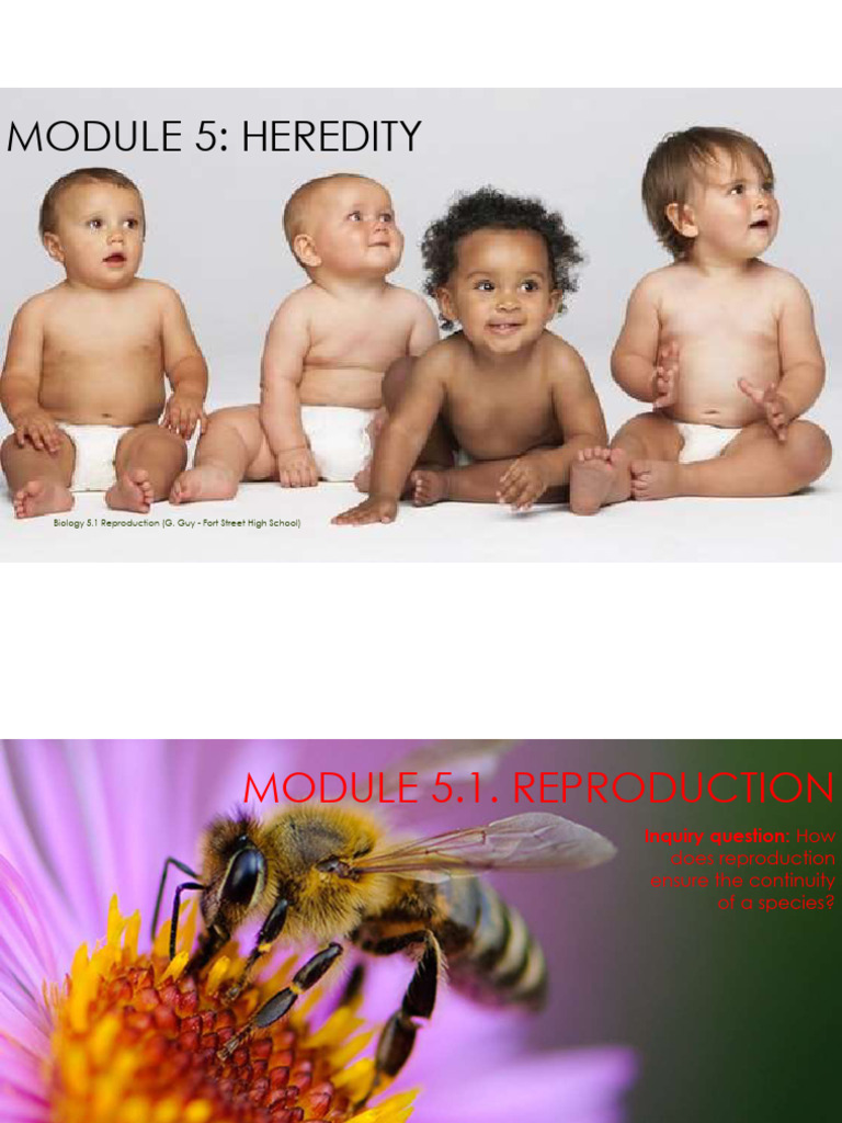Pdf Module 5 1 Reproduction Pdf Reproduction Sexual Reproduction