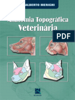 Resumo Anatomia Topografica Veterinaria Adalberto Merighi