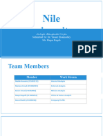 Nile University Strategic Management  