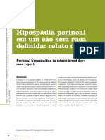 37777-Texto Do Artigo-87237-1-10-20181128