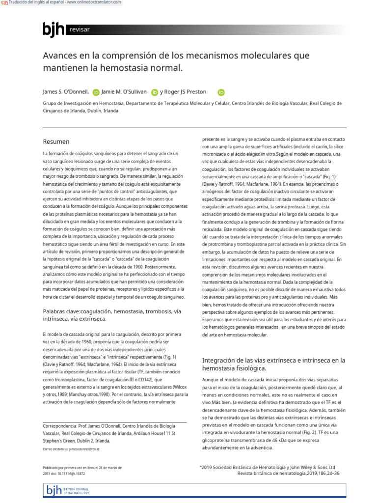 What Is Normal Haemostasis