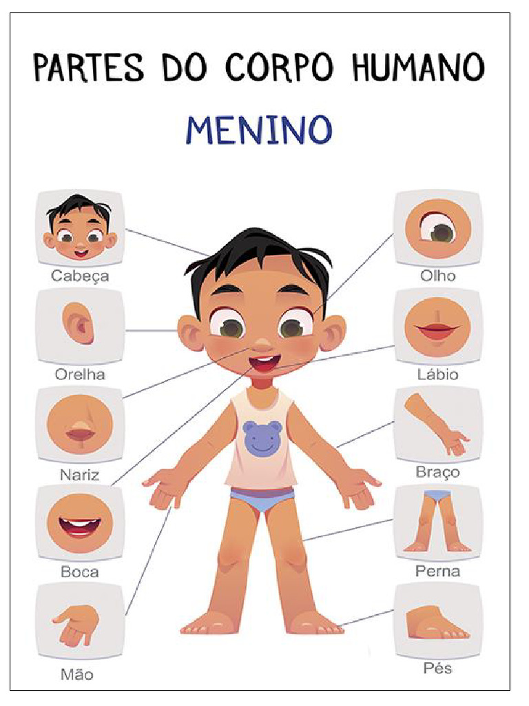 Parte Do Corpo Humano Menino | PDF