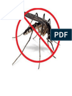PROYECTO - Dengue