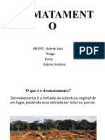 DESMATAMENTO-WPS Office