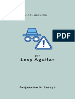 Levy Aguilar Ensayo Actividad3