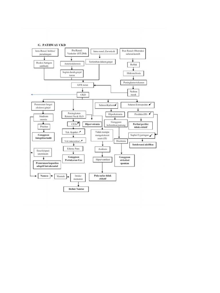 Patways CKD | PDF