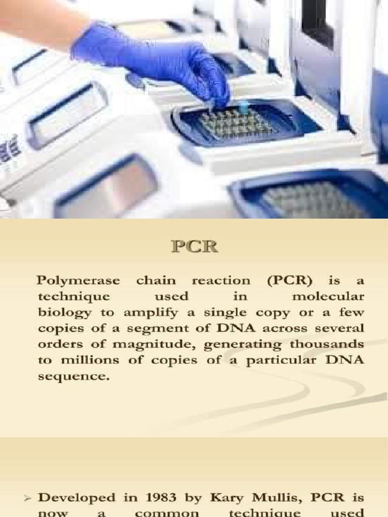 PCR LECT 4pptx | PDF