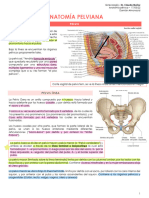 Anatomía Pelviana: Pelvis