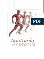 Anatomía 2
