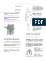 Introdução Anatomia e Sistema Esquelético - 240305 - 121133