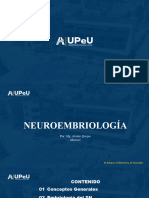 2PPT DC Neuroembriología