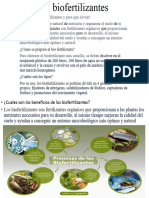 Los Biofertilizantes