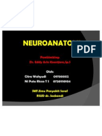 NEUROANATOMI