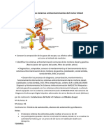 Diagnosticar Los Sistemas Anticontaminantes Del Motor Diésel