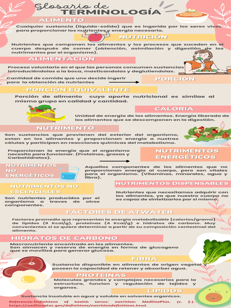 Infografía Conceptos De Alimentación Pdf Nutrientes Alimentos