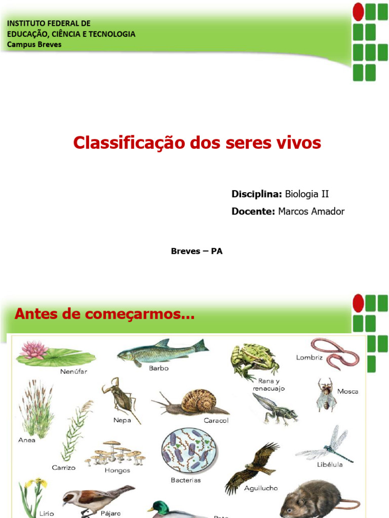 Aula 1 - Classificação Dos Seres Vivos | PDF | Taxonomia (Biologia ...