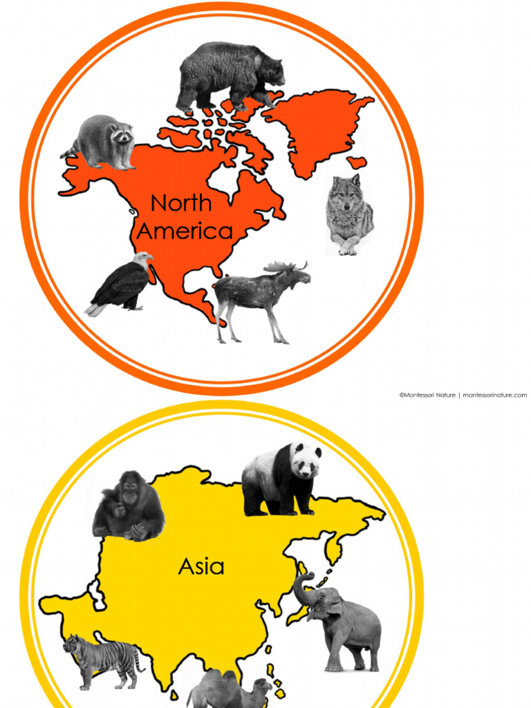 Animal Preschool Pack Printable | PDF | Computers
