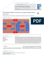 BBB Drug Targeting Strategies 2018