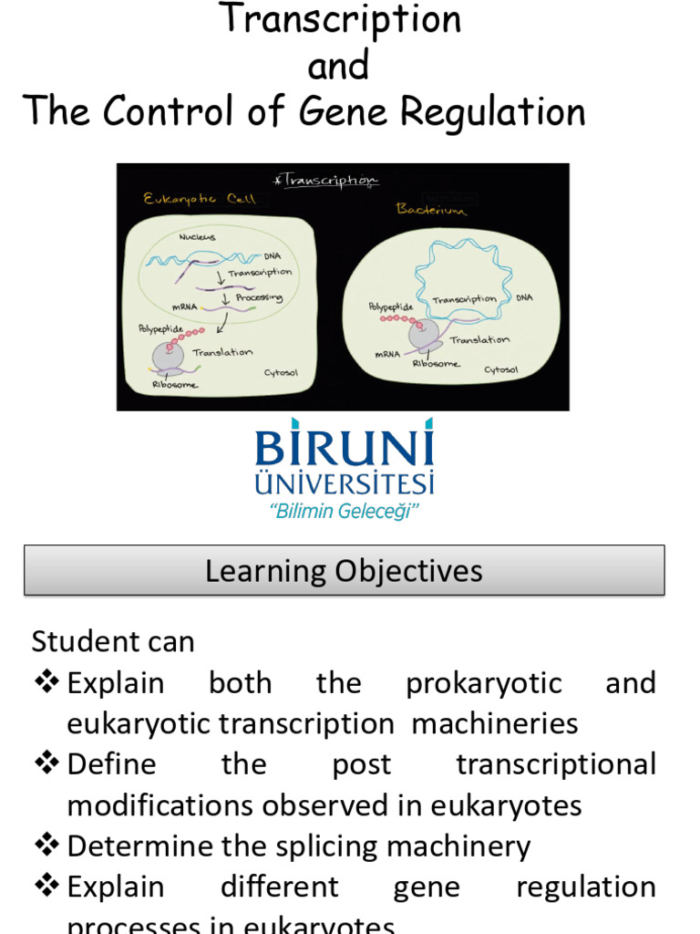 Transcription and The Control of Gene Regulation | PDF | Rna ...