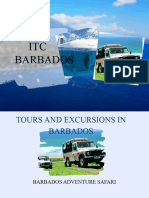 Tours and Excursions in Barbados