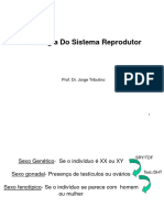 Fsiologia Das Glândulas Reprodutoras 20222
