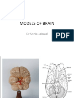 Models of Brain