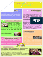 Organizdor Visual - Mensaje Del Papa