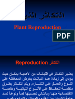 Propagation Methods