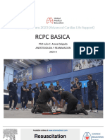 RCP Basica USMP