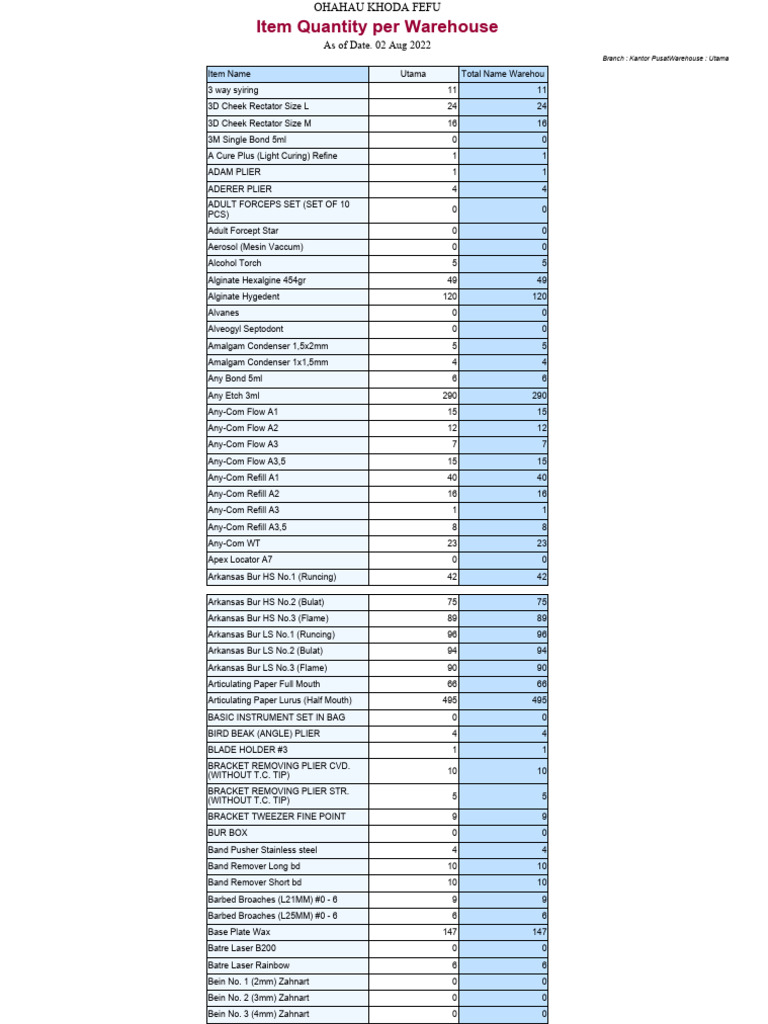 Dental Inventory Report Aug 2022 | PDF