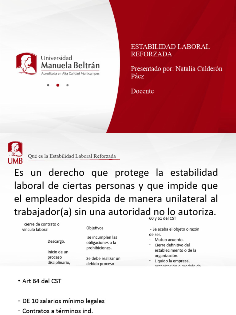 Diapositivas | PDF | Derecho laboral | Invalidez