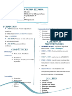 CV Professionnel (1) (2) - 2