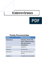 Enterovirus - Polio2024